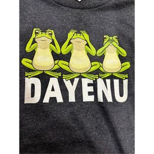Passover Graphic T-Shirt Dayenu Green Frogs on Grey Background Unisex‎ Large